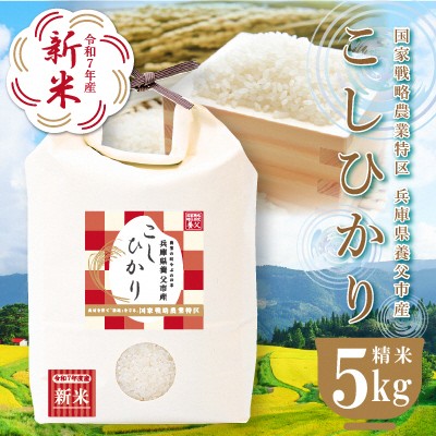
            農業特区兵庫県養父市産こしひかり　５kg
          