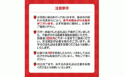 福岡県産【特別栽培】特選DX等級完熟あまおう　270g×2パック