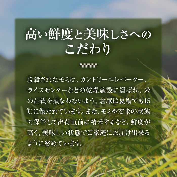 ＜数量限定＞JAよりお届け！福岡県産米 元気つくし (計5kg)お米 おこめ 米 こめ コメ 白米 福岡県産 ブランド米 常温 常温保存【農産物直売所ほたるの里】【ksg1813】