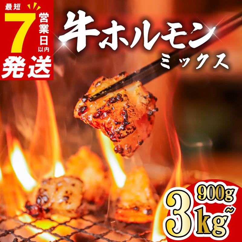 【ふるさと納税】 ホルモン 牛 ミックス 900g~3kg 小分け 最短7営業日以内発送 味付き 肉 タレ漬け 牛ホルモン 冷凍 牛肉 味付け肉 ミックスホルモン 焼肉 焼き肉 バーベキュー BBQ キャンプ フライパン ミックスホルモン 奈良県 奈良市 焼肉工房もく 900g 1.2kg 3kg 300g