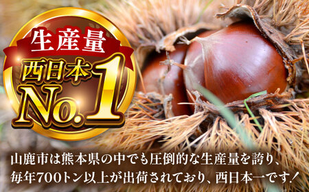 むき栗 約2kg（約1kg×2袋） 【株式会社あんず】[ZBT015]