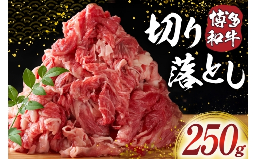 肉 牛肉 博多和牛 切り落とし 250g [MEAT PLUS 福岡県 宇美町 um40azp010057] ふるさと納税 牛肉 牛 肉 和牛 黒毛和牛 切落し 赤身 和牛 肩肉 牛肩 バラ肉 バラ 国産 冷凍