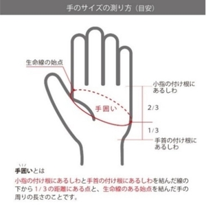ゴルフグローブ（両手）3色セット　レディース  S