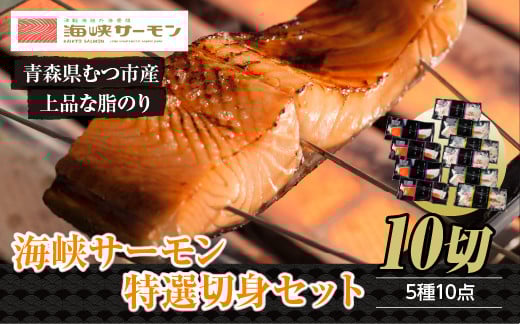 
            【予約商品】海峡サーモン 特選切身セット10切 (5種10点)
          