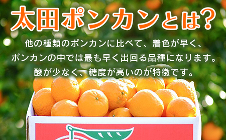 【先行予約】＜太田ポンカン 家庭用 約3kg＞ 果物 くだもの フルーツ みかん ミカン 柑橘 太田ぽんかん おおたぽんかん オオタポンカン ぽんかん 訳あり ご自宅用 特産品 株式会社笑丸 愛媛県 