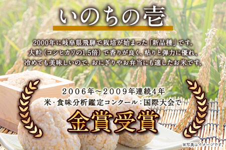 令和5年産 特別栽培米 いのちの壱(玄米)10kg×1 雑穀米付き《90日以内に出荷予定(土日祝除く)》 熊本県 南阿蘇村 熊本県産 虹色のかば 雑穀米