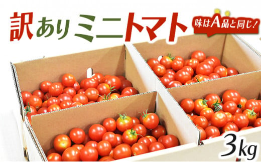 【訳あり】 ミニトマト3kg / 訳あり 訳アリ ミニトマト プチトマト トマト とまと 野菜 やさい / 諫早市 / 原農園 [AHCZ001]