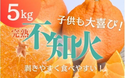 たにぐち農園の完熟不知火 5kg【2025年2月中旬から3月下旬までに順次発送】 / 不知火 みかん 蜜柑 デコポン【mtn011A】