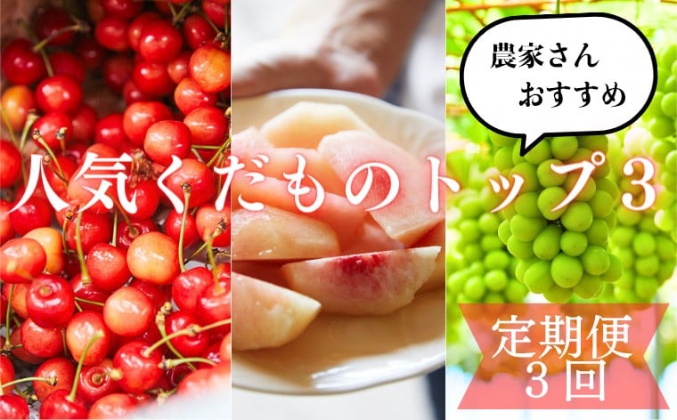
            【定期便3回】山形といえばコレ！～人気くだものトップ３！【令和7年産先行予約】FU23-702 くだもの 果物 フルーツ 山形 山形県 山形市 2025年産
          