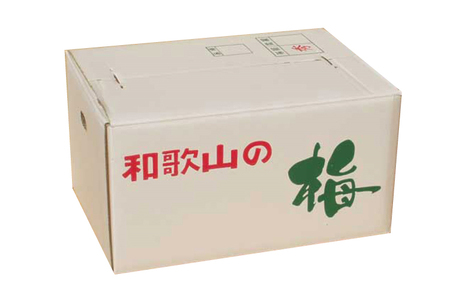 【梅干・梅酒用】（4Lまたは3L－2Kg）熟南高梅＜2025年6月上旬～7月上旬ごろに順次発送予定＞【art006A】