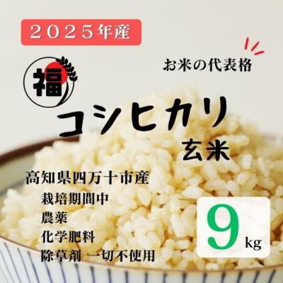ふるさと納税 四万十市 【令和7年産】四万十市産コシヒカリ 玄米 9kg(栽培期間中農薬・ 化学肥料・除草剤不使用)
