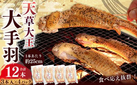 熊本 天草大王 大手羽 12本 （3本×4） 鶏肉 とり肉 鶏 お肉 肉 手羽 冷凍