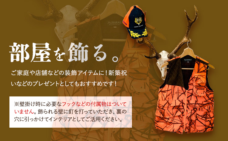 ニホンジカ頭骨付き角　壁掛け(中)　【配送不可地域あり】※離島不可 《30日以内に出荷予定(土日祝除く)》  ---sanagouchi_uen_1_1k---