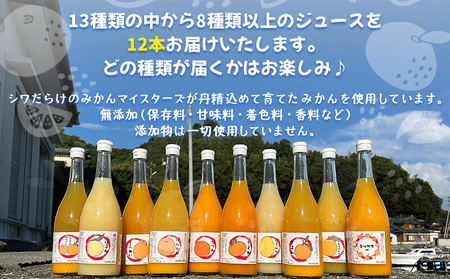 西予市産柑橘ジュエリーボックス12本入り（無添加果汁100％ジュース）