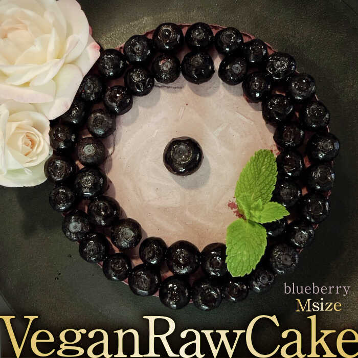 【ふるさと納税】植物性100％ Vegan Raw Cake Blueberry（ブルーベリー/Mサイズ）お砂糖・小麦粉・乳製品不使用のスイーツ ヴィーガンローケーキ 吉野ヶ里町/どんどん良くなる [FCF053]