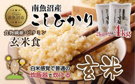 南魚沼産 コシヒカリ 普通に炊ける 玄米 2kg×2袋 計4kg こしひかり 新潟県 米 玄米食 コメ こめ