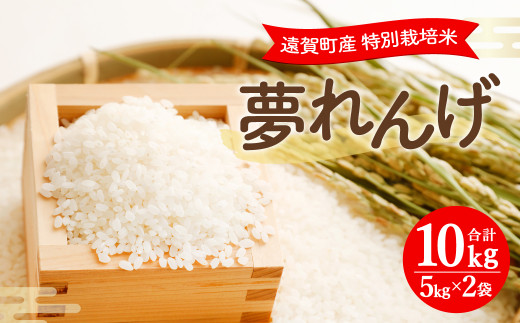 【令和7年産】 特別栽培米 夢れんげ 10kg （5kg×2袋） 【2025年10月下旬発送開始】 お米 精米 米 コメ