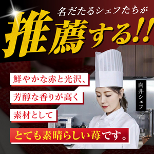 栃木県産 完熟とちあいか 540g（270g×2p）　栃木県 下野市 送料無料