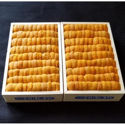 ふるさと納税 根室市 エゾバフンウニ並べ詰め150g×2折[2026年2月下旬以降発送] D-53037