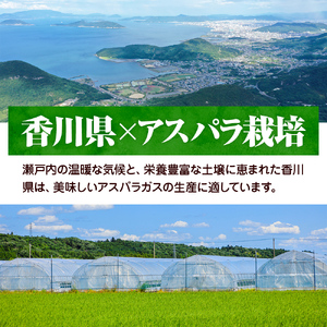 2027年初物予約！アスパラガス【さぬきのめざめ】3L・2Lサイズ1kg