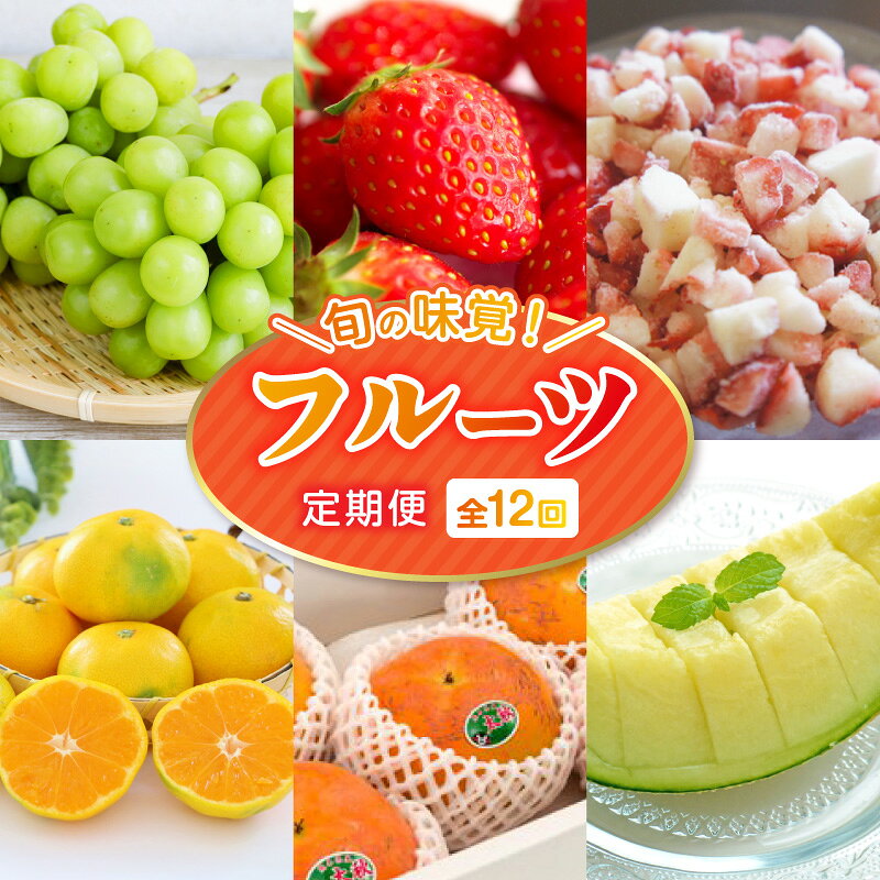 【ふるさと納税】数量限定 先行予約 フルーツ 定期便 12回 完熟 いちご 網田ネーブル 不知火 オレンジハート 肥後グリーン メロン 冷凍いちご ぷち苺 シャインマスカット 極早生 みかん 太秋柿 アールスメロン デコポン 果物 お取り寄せ 送料無料 【熊本県宇土市】