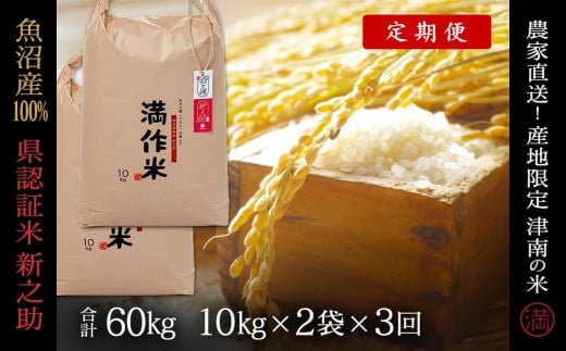 
            【 定期便 3ヶ月 】 米 20kg ( 10kg × 2袋 ) × 3回 令和7年産 新米 魚沼産 新之助 県認証米 特別栽培米 | しんのすけ お米 おこめ 白米 精米 新潟県 津南町
          