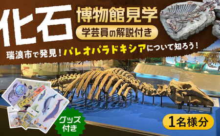 瑞浪市化石博物館 パレオパラドキシアコーナー 学芸員の解説付き見学ツアー(1名様) ＆ グッズセット 瑞浪市 [AZCJ001]