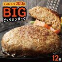 【ふるさと納税】【期間限定】黒毛和牛入り BIGハンバーグ 総量 2.4kg 200g 12個 泉州玉ねぎ 使用 ハンバーグ 個包装 小分け 便利 焼くだけ 簡単調理 ビッグ 満腹 ガッツリ 食べ盛り おかず 惣菜 冷凍 大阪府 泉佐野市 送料無料 肉の泉佐野