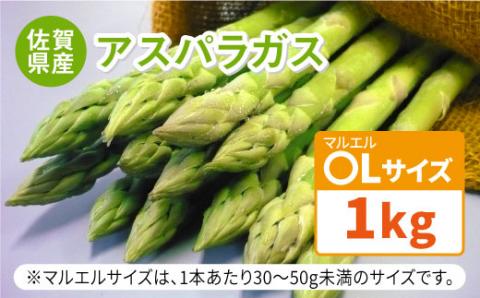 先行予約！受付は3/10まで！【26年3月中順次発送】アスパラガス 春芽 1kg（〇Lサイズ） 吉野ヶ里町/佐賀県農業協同組合 [FBE017]