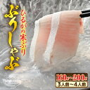 【ふるさと納税】天然！地物！ひるがの寒ぶり【ぶりしゃぶ3〜4人前セット】【ブランド 寒ブリ 寒鰤 かんぶり ぶり ブリ 鰤 ブリトロ ぶりとろ 新鮮 生食 刺身 海鮮丼 ぶりしゃぶ 日向 福井 冬の味覚 海鮮 冷凍 プレゼント】