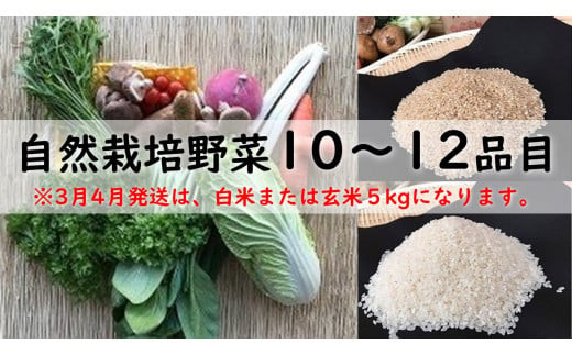 
                  BI-12 6ヵ月定期便「自然栽培野菜」10～12品目（3月4月は白米または玄米5kg）
                