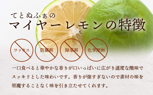 【先行受付】<2025年10月～12月順次発送> 皮まで食べられる!? 黒糖レモン生シロップのみと果肉入りの200ml×各1本の2本セット | 沖縄 石垣 黒糖 波照間 青切り レモン マイヤー メイ