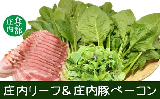 
            食の都庄内　庄内リーフ＆庄内豚ベーコン※令和8年1月より順次配送
          