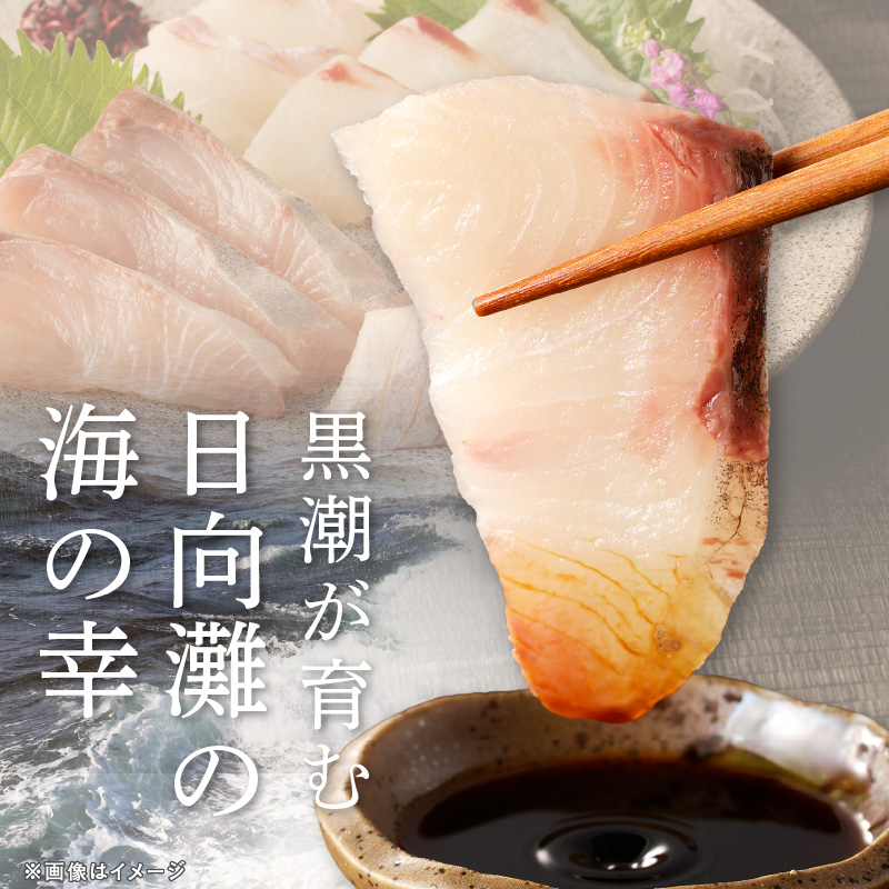 【単月お届け】大和の高級お刺身　6人前【冷凍】 N072-YA6611-2