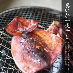 生干しイカ　真イカの一夜干し 2枚入り×2袋 イカ焼き