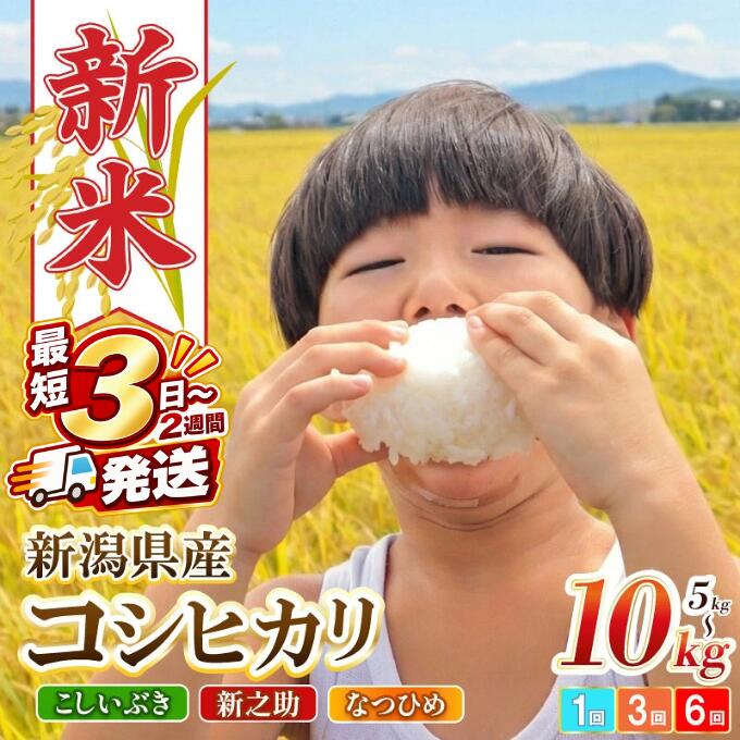 【ふるさと納税】 新米 新潟県産 コシヒカリ こしいぶき 新之助 なつひめ 8年産 選べる 配送時期 容量 4kg 5kg 10kg 20kg 単品 定期便 3回 6回 精米 四代目 悠助 コンテスト入賞 米 新発田 新潟 D71P