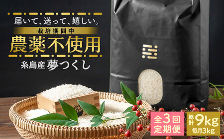 【全3回定期便】農薬を使わずに育てた 山つき 3kg 夢つくし 吉富町/(株)やました[BGBX010]