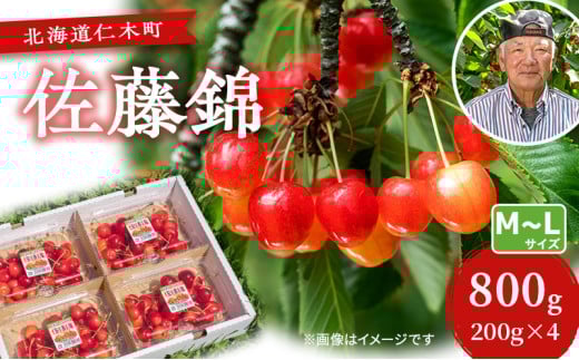 [先行受付] さくらんぼ【 佐藤錦 】800g（200g×4）M-Lサイズ混合 サクランボ チェリー フルーツ 果物類 果物 くだもの [横山農園]
