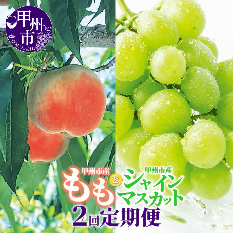 【ふるさと納税】 フルーツ 定期便 全2回 桃 約2kg 6～8玉 シャインマスカット 約1.2kg 2～3房 果物 もも ぶどう 葡萄 甲州市 新鮮 くだもの 2025年発送 産地直送 山梨 人気 おすすめ 白鳳系 白桃系 社員マスカット 期間限定 数量限定 7月 8月 冷蔵 （OGN） 【C7-1801】
