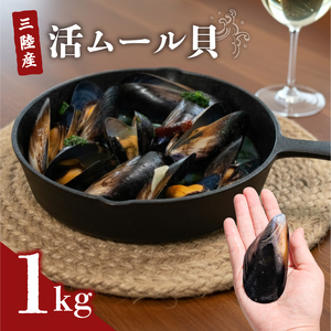 三陸産 活ムール貝 1kg ムール貝