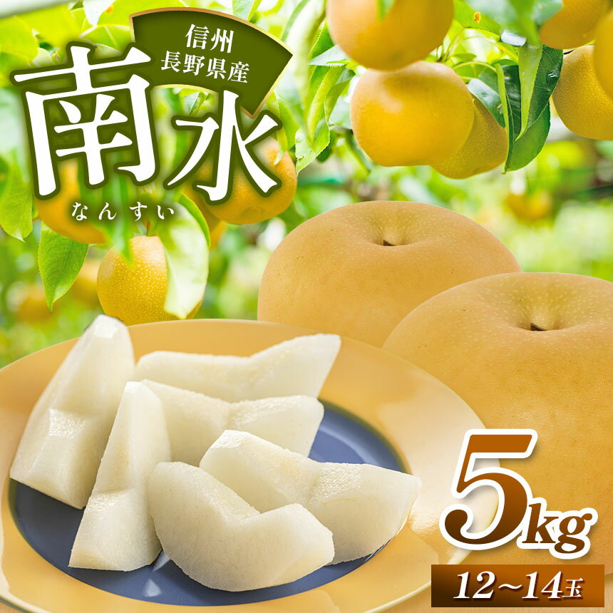 【ふるさと納税】【2025年 先行予約】南水 約5kg （ 12 ～ 14 玉 ）【9月中旬頃より発送予定】 | 果物 くだもの フルーツ 梨 なし ナシ 長野県 塩尻市