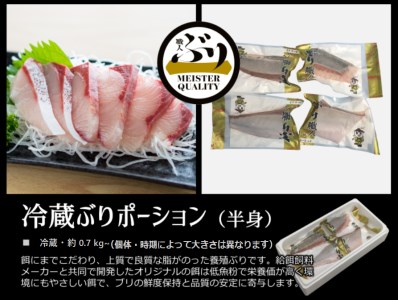 AQ-4706-202605／【鹿児島産ぶり】冷蔵・ぶり皮無ポーション（背腹計4p）