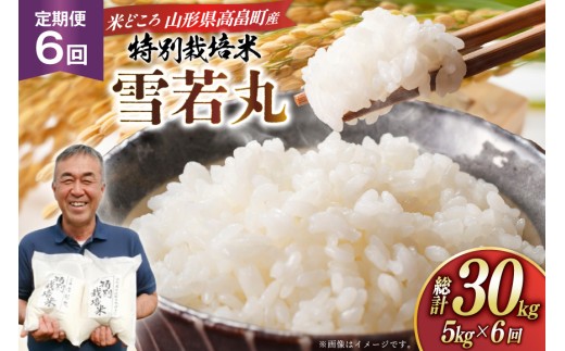 米 定期便 6回 令和8年 雪若丸 5kg 6回 計30kg [渡部ファーム 山形県 高畠町 tk06ays810048] お米 白米 精米 ごはん ご飯 ブランド米