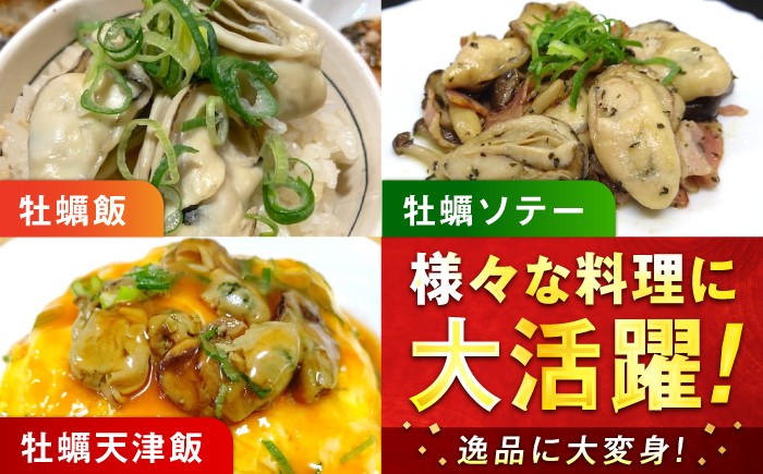 牡蠣 生食用 むき身 かき カキ 冷凍 広島牡蠣 オイスター kaki 広島県産