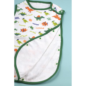 ベビーお休みセット　５０００　ディノサウルス　ピクチャーブック