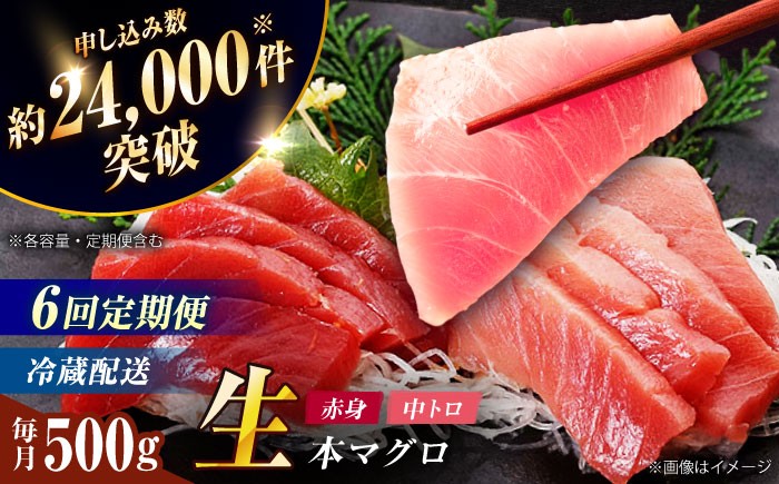 
            【全6回定期便】【ながさき水産業大賞受賞の新鮮なマグロを冷蔵でお届け！！】五島列島産 養殖 生本かみマグロ マグロ 赤身 中トロ 計約500g   定期便 海鮮 まぐろ 鮪 刺身 ブロック 【カミティバリュー】 [RBP030]
          