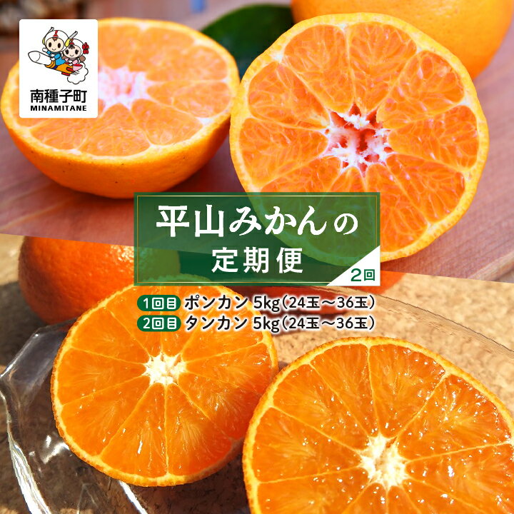【ふるさと納税】【定期便】【先行予約】 種子島 平山みかん ポンカン タンカン 定期便 全2回 人気 種子島産 返礼品 南種子町 鹿児島 かごしま 【のっちーよ種子島】