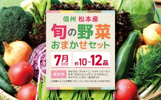 
                  信州松本産・旬の野菜 おまかせセット（約10～12品） │野菜 やさい 旬 旬の野菜 新鮮 自然 セット 野菜セット 美味しい 長野県 信州 松本 ふるさと納税
                