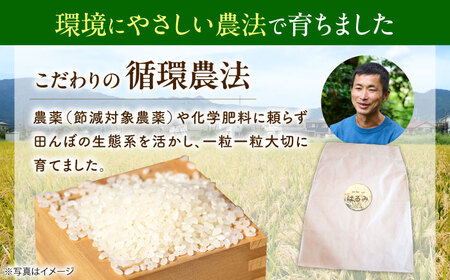 【令和7年産 白米】 はるみ 10kg 白米 はるみ [BDBF002-2]