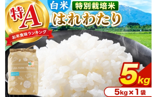 米【特別栽培米】はれわたり 白米 5kg（5kg×1袋）令和7年産 特A 青森県弘前市産 [米 はれわたり 特別栽培米 白米 精米 ブランド米 青森県 弘前市産]